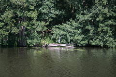 Killikus&reg; Fotographie